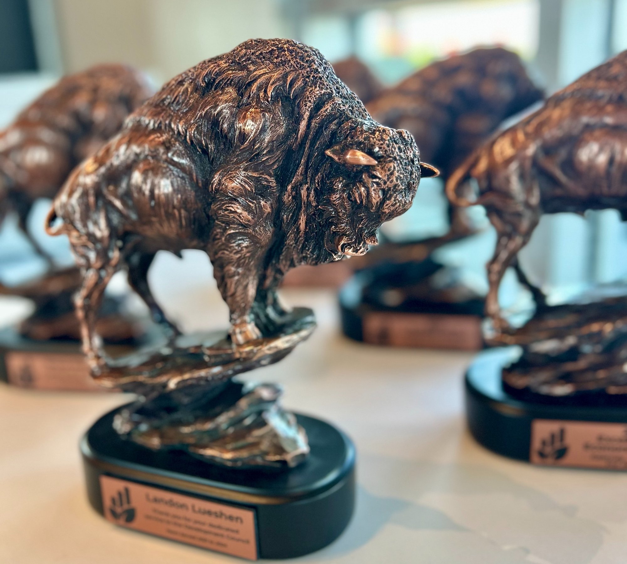 Buffaloes Buffaloes